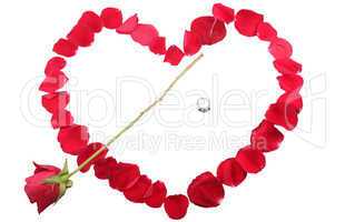 beautiful heart of red rose petals with a ring and a red rose