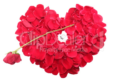 heart shape of petals with a ring and a red rose
