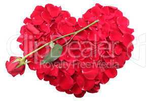 heart shape of red rose petals with a red rose