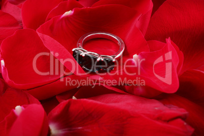 beautiful ring in petals of red roses
