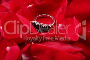 beautiful ring in petals of red roses