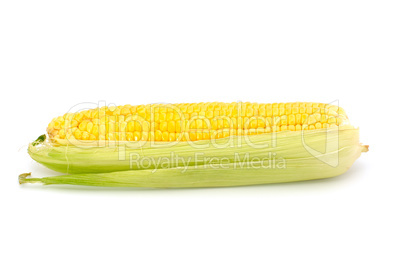 Corn on the cob