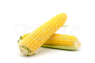 Corn on the cob