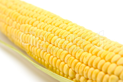 Corn on the cob