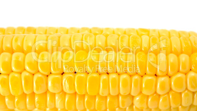 Corn isolated on white