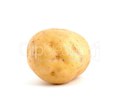 Potato