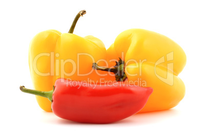 fresh peppers vegetable