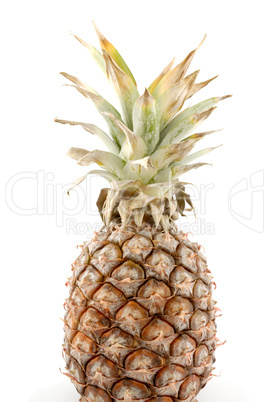 pineapple isolated on white