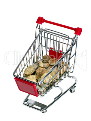 shopping cart with money