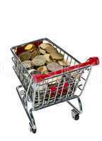 shopping cart with money