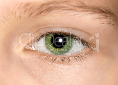 green eye of a young girl