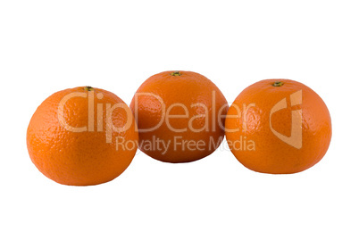 three ripe oranges on a white background