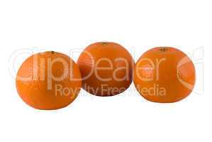 three ripe oranges on a white background