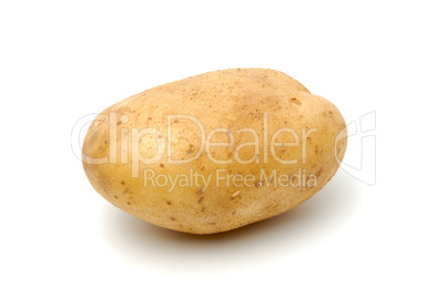 Potato