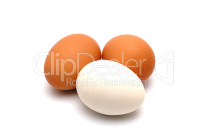 Eggs