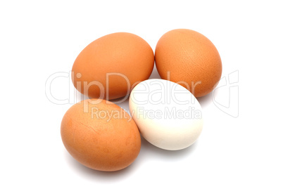 Eggs