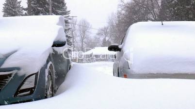 Cars covered by snow.