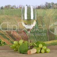 Weißwein im Weinglas in den Weinbergen