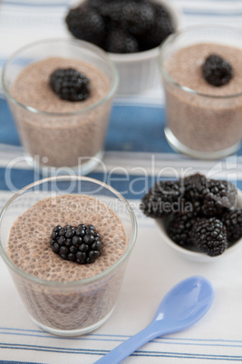 Chia Pudding mit Beeren