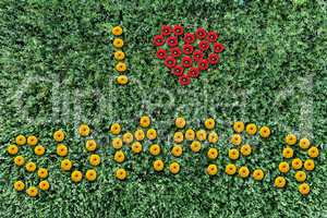 inscription of yellow flowers on a background of grass