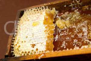 Honigwabe mit Honig und Bienenwachs