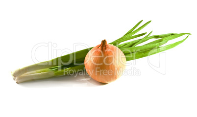 onion