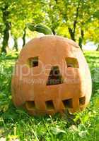 halloween pumpkin