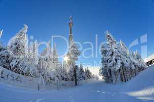 winter schnee wintersport berge