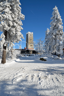 Winterwald Fichten Schnee Weihnachten