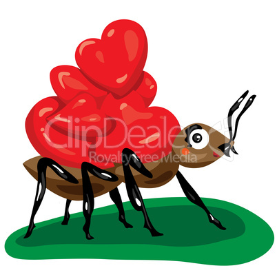 ant with hearts