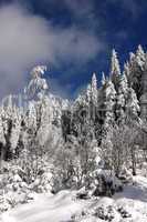 winter im hochschwarzwald