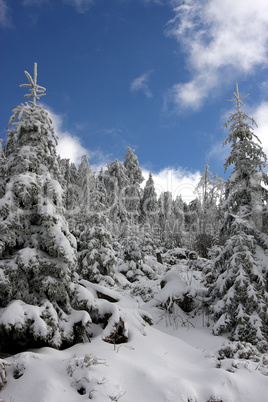 winter im hochschwarzwald