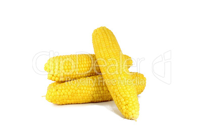 cooked corn cob sweetcorn