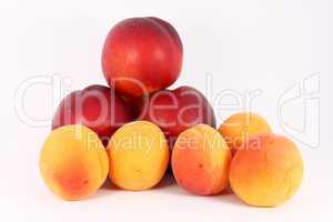 apricots and nectarines