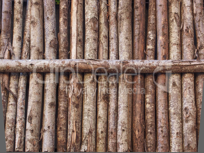 wooden palisade