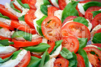artistically arranged cheese and tomato salad