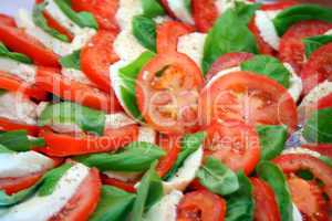 artistically arranged cheese and tomato salad