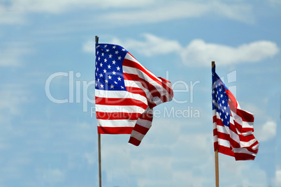 american flags