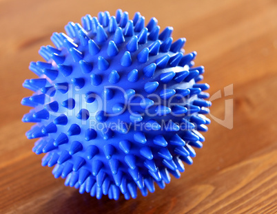 hedgehog ball