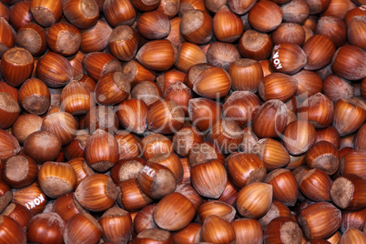 nuts, hazelnuts as background