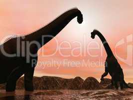 brachiosaurus dinosaurs by sunset - 3d render