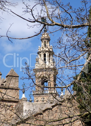 La Giralda in Seville