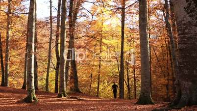 runner in forest