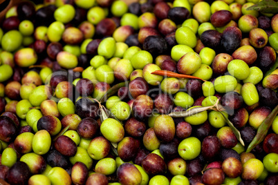 Frische schwarze und grüne Oliven auf einem Markt