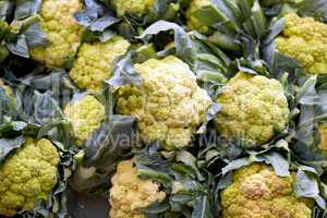 Frischer Blumenkohl auf einem Markt