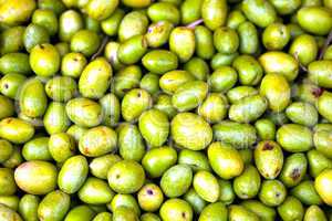 Frische grüne Oliven auf einem Markt