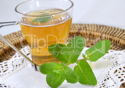 Cup of mint tea with a sprig of mint