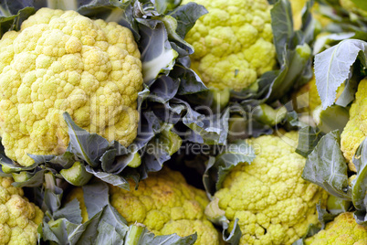 Frischer Blumenkohl auf einem Markt