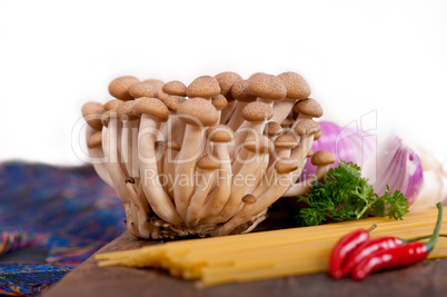 italian pasta and mushroom sauce ingredients