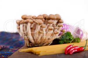 italian pasta and mushroom sauce ingredients